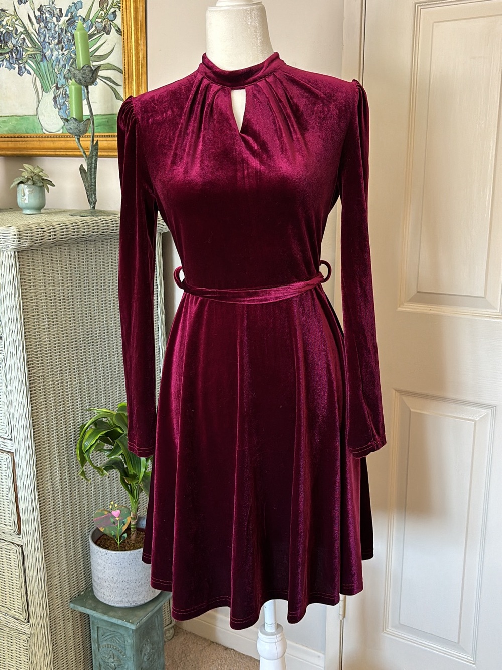 Wine Burgundy velvet high neck dress